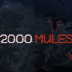 Watch 2000 Mules by Dinesh D’Souza Free